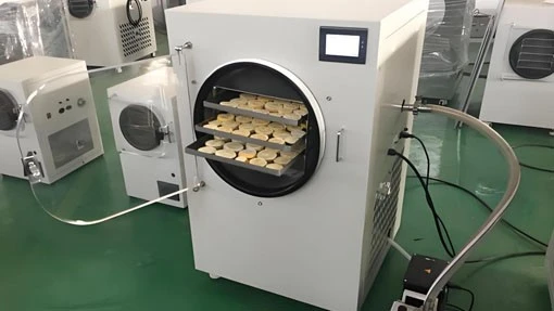 Kitchen Freeze Dryer | Shaanxi Achieve chem-tech Kitchen Freeze Dryer | Shaanxi Achieve chem-tech